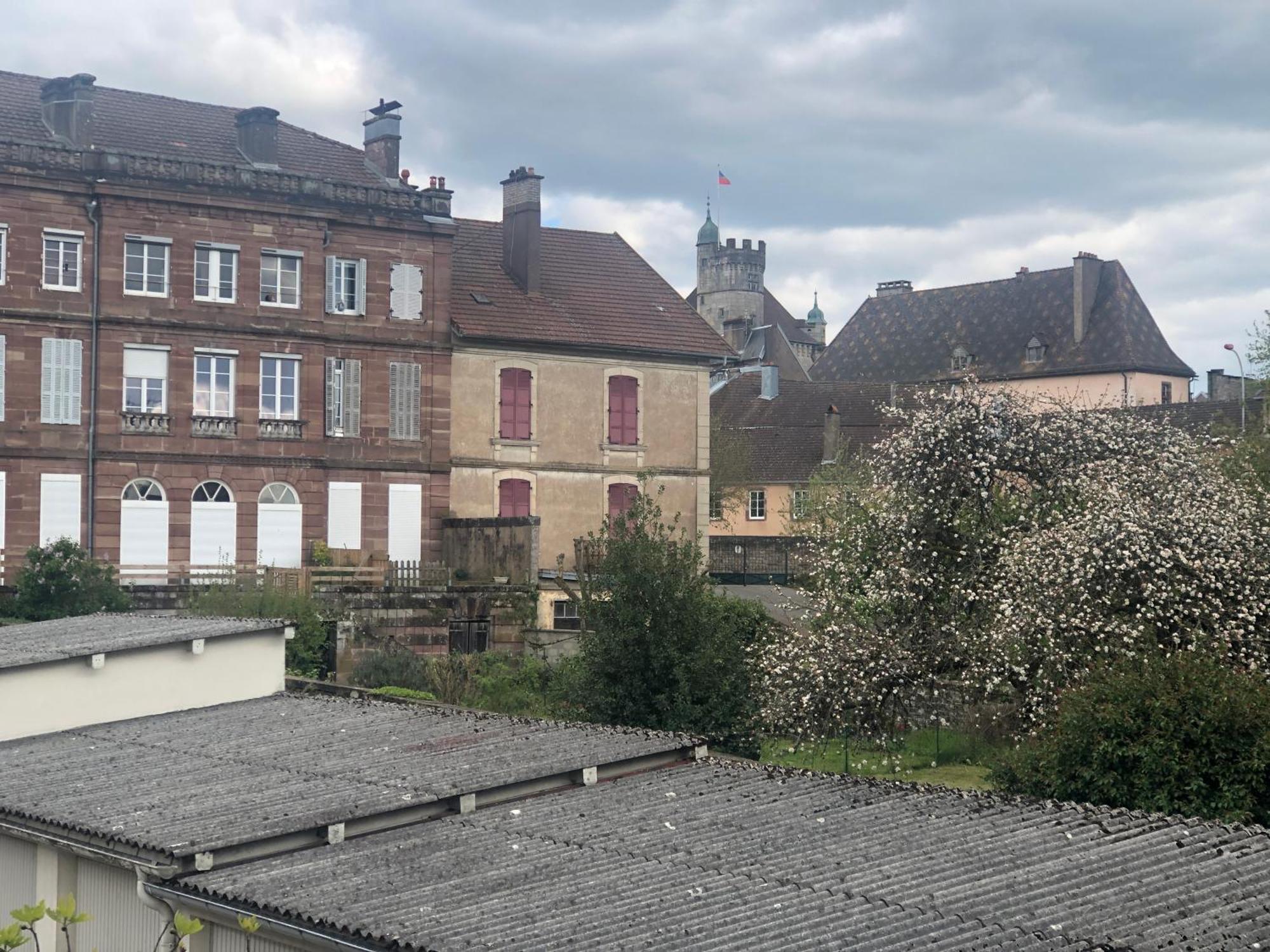 Apartamento Meubles Deco Fab - Plancha Luxeuil-les-Bains Exterior foto
